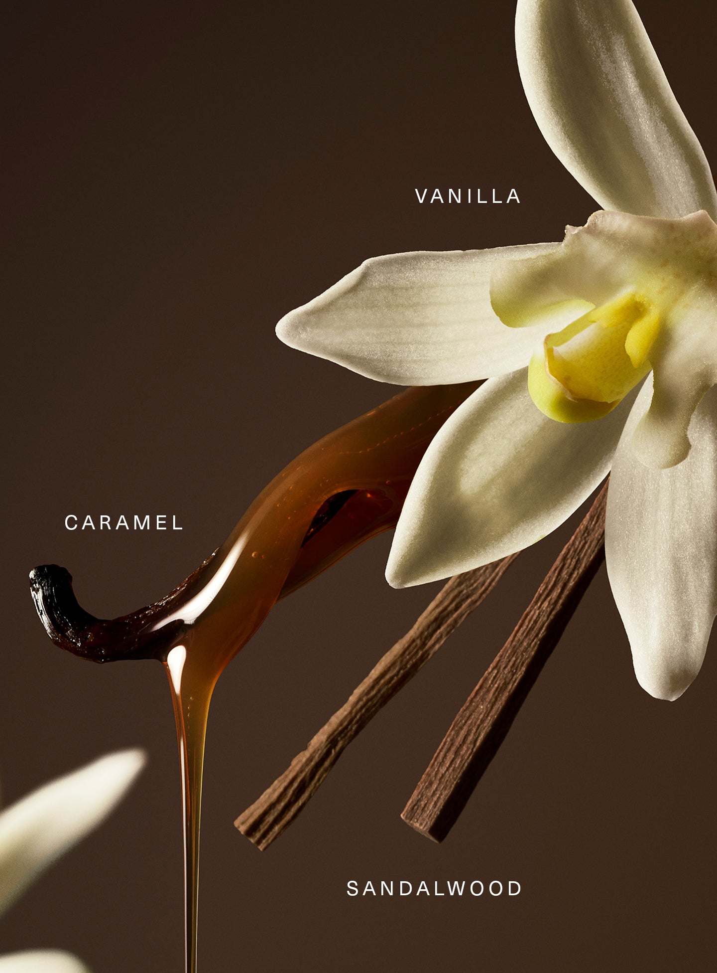 Set Rare Eau de Parfum vainilla y caramelo